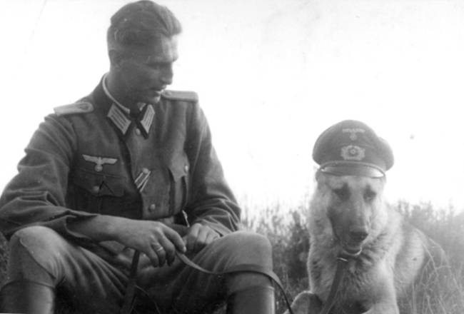 纳粹曾经训练狗狗说话和认字。