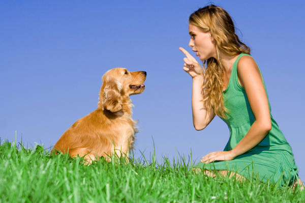 人类和狗狗是唯一知道可以在对方的眼神中找线索的动物，而狗狗只有会对人类这么做。