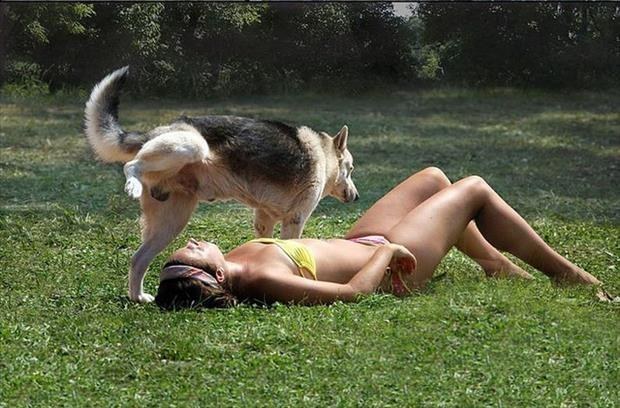 24. 在有狗狗的草地上曬日光浴，註定要以失敗收場。