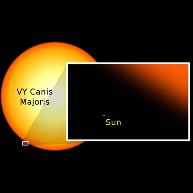 这代表有些星球，比我们所看见的太阳还要大很多很多。看看太阳在相较之下变得多渺小。