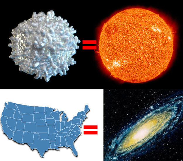 但先前提及的一切都不及一个银河系的巨大，如果你把太阳缩小到一个白血球细胞的大小，按照比例，银河系就会是美国的大小。