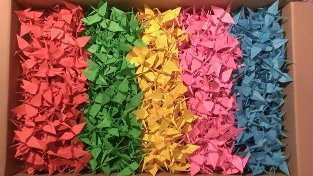 找到了！就知道我們之前有摺了1000個彩色紙鶴，還用顏色分類好，只是一時忘記我們把它們擺到哪裡去了，原來在這裡呀！