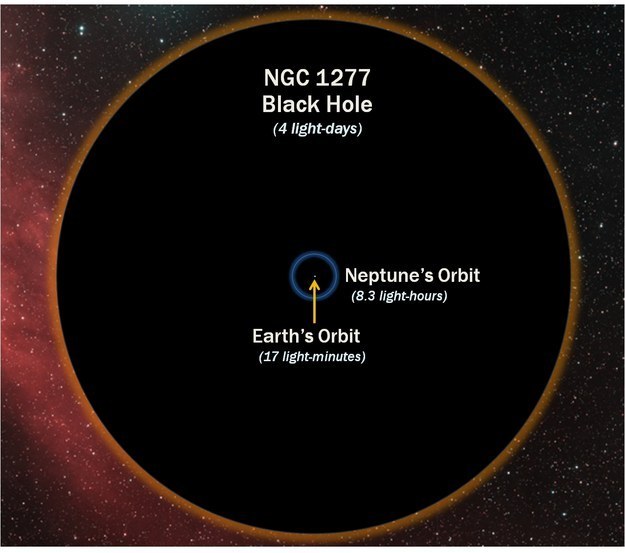 这是一个黑洞轨道与地球轨道比例的对照。