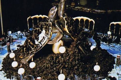 餐桌中央，有兩隻海龜擁抱在一起。