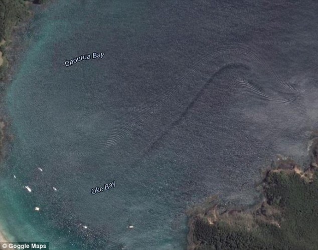 一位工程師 Pita Witehira在Google Earth上頭，剛好在奧克灣（Oke Bay）中發現了一個非常不尋常的痕跡。而這個地圖的時間大約是1月30日的早上11點30分。
