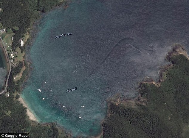 在Google Earth的卫星图中，我们可以看到一个奇妙的影子，大约有12公尺长。说是鲨鱼可能太大了，但说是鲸鱼，虽然体型而言会比较合理，但是游速又不可能这么快。而原住民毛利人把这个巨兽叫做「Taniwha」。