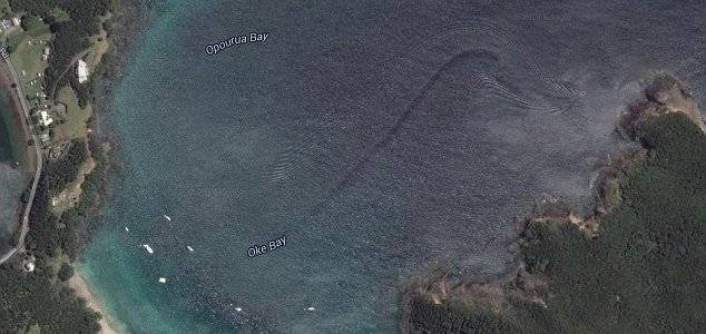 5.紐西蘭海灣的大水怪