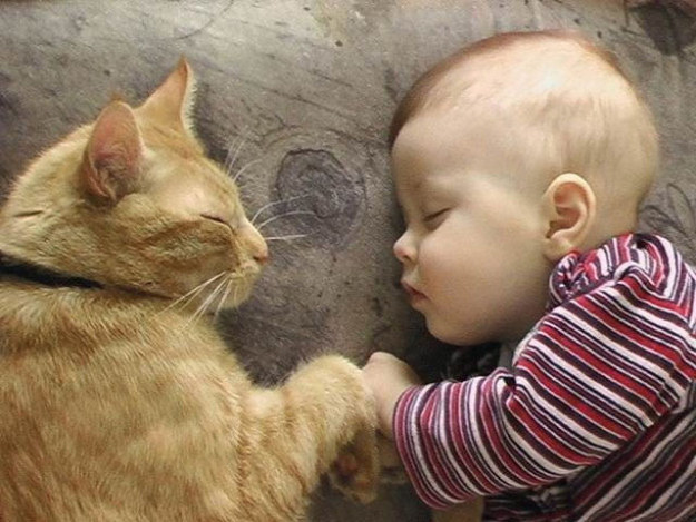 This cat who cuddles with his little baby human.
