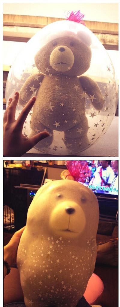 19. 這個在氣球裡的泰迪熊，最後還是以悲劇收場了...