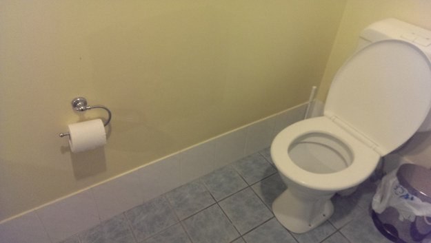 24. 這間廁所大概是專為設計的長臂人吧... 