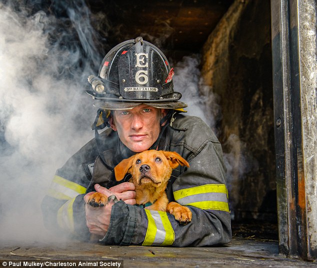 Good cause: Charleston Animal Society released the calendar in association with The Fire Department of Charleston, South Carolina, to benefit its Toby's Fund, which treats injured, abused and abandoned animals
