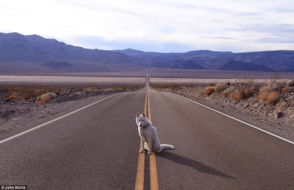 位于加州边界的死亡谷国家公园 (Death Valley National Park)