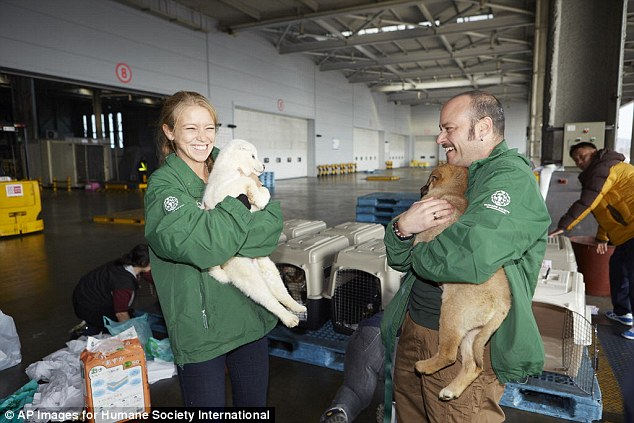 Ms Webber (left) and HSI animal rescue responder Adam Parascandola cuddle the dogs as they prepare to be put on a flight to the U.S