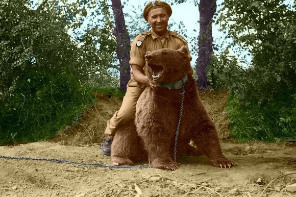 Wojtek Bear - Riding a bear