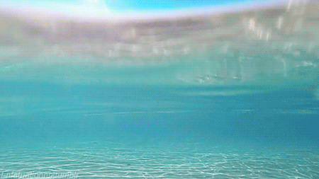 21 GIFs That Will Calm You The F*ck Down