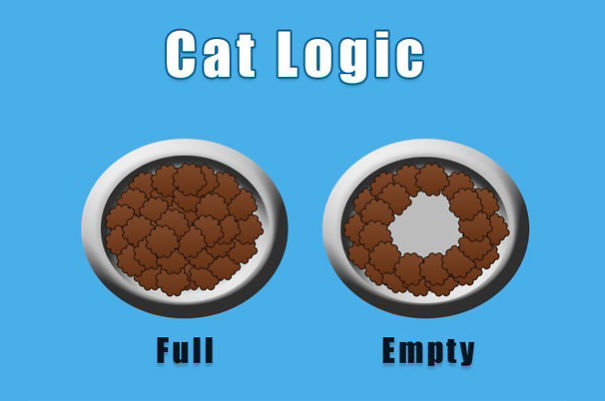 猫咪的逻辑也令人难以理解。