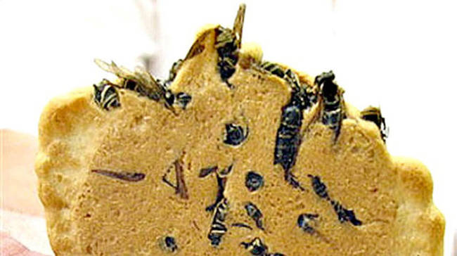 5.) Wasp Crackers