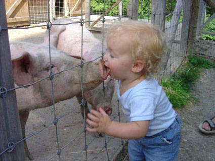 小豬和小女孩親親。