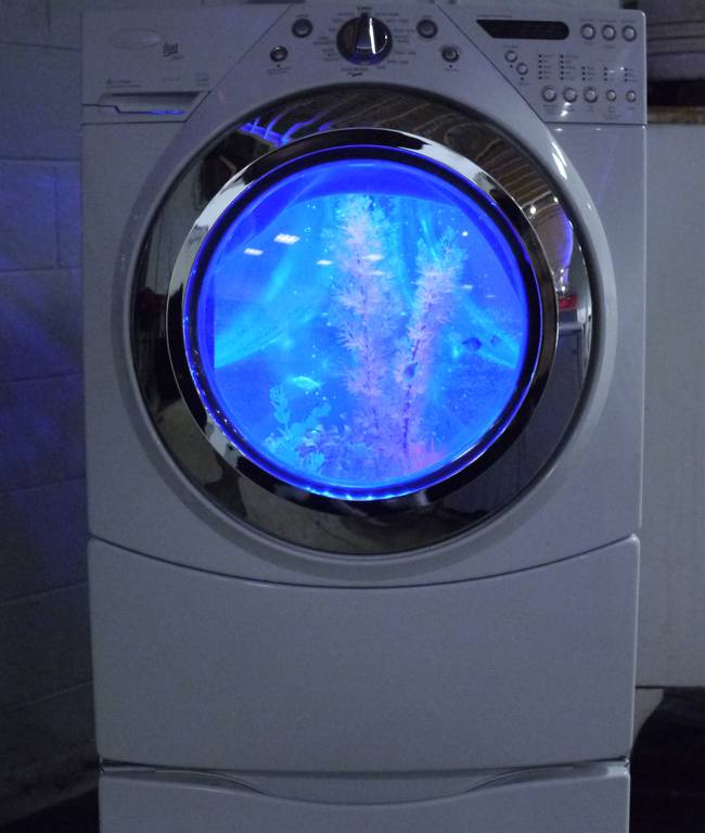 And here's the final product: a regular washing machine on the outside, and an awesome fish tank on the inside.