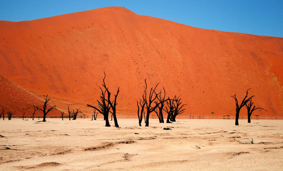 纳米比亚 (Namibia) 的纳米比沙漠 (Namib Desert)