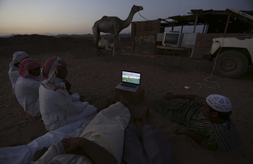 14. 在沙乌地阿拉伯，男人们正在骆驼市集中观看2014世界杯足球赛。