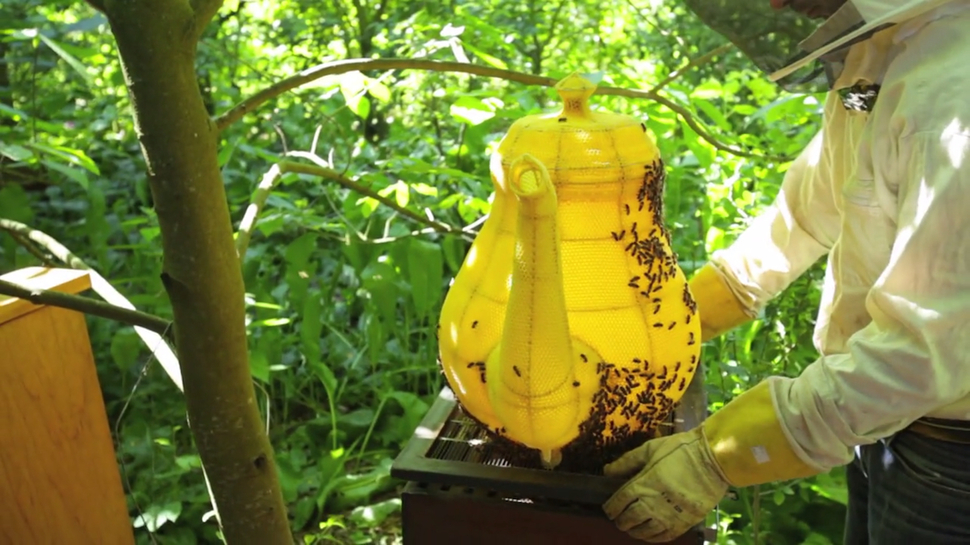 他把這個計畫命名為"Thousand Years (千年) "，為了宣揚大自然...特別是蜜蜂的神奇力量。