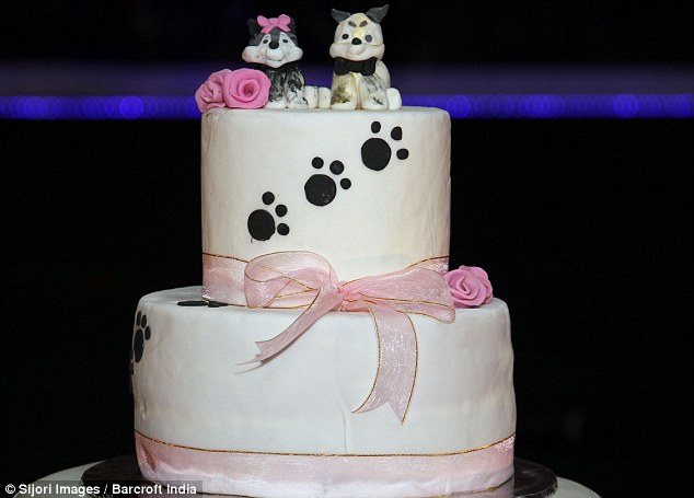 在典礼完成后，他们也吃了狗狗可以吃的结婚蛋糕，是由杏仁膏所制成的。