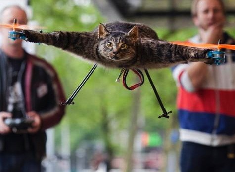 Most animal <i>lovers</i> may not appreciate this post-mortem memorialization, but <a href="http://www.independent.co.uk/news/weird-news/dutch-artist-bart-jansen-who-turned-his-dead-cat-into-a-drone-wants-to-make-a-badger-submarine-10014247.html" target="_blank">one guy</a> decided to turn his cat into a drone.
