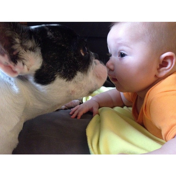 现在Olivia已经是个7岁大的健康宝宝了，Oreo也可以尽情地亲她。