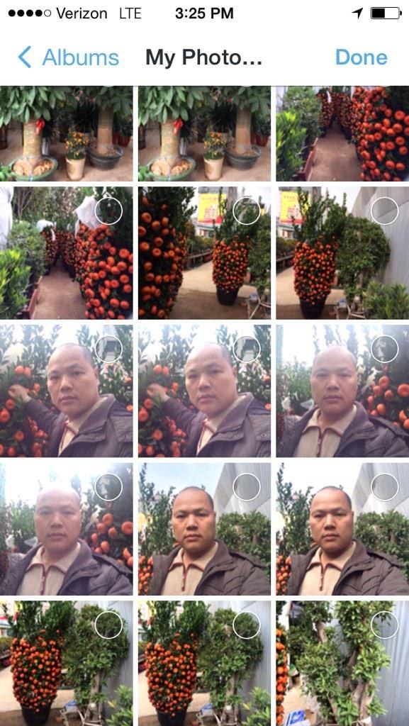 我正在看我的照片，想要放點照片到Instagram上頭，結果意外地發現了一些根本不是他拍的照片，大多數的照片，都是關於一個「不停跟橘子樹拍照的男人」。這實在有點爆笑，但又真的有點恐怖。