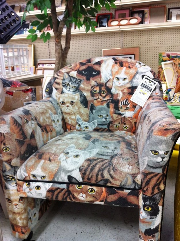 14. 這張椅子的設計...讓貓奴也相當滿足呀！