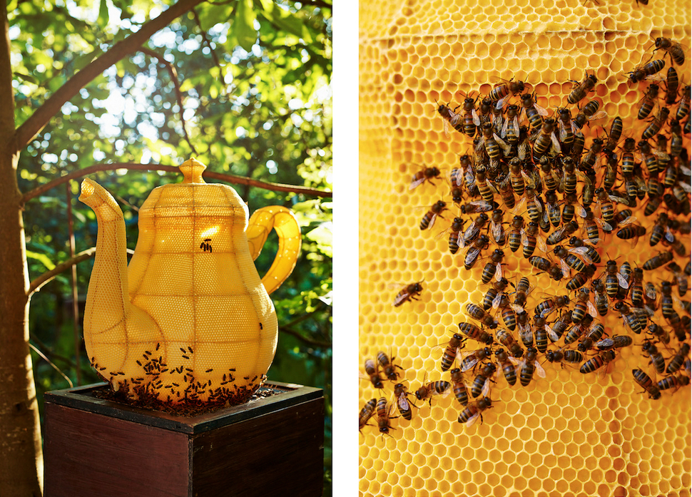 一位名叫Tomáš Libertíny的藝術家做了一個茶壺的框架之後，讓蜜蜂在上面築巢。