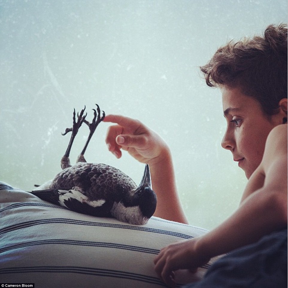 Rueben spending some quality time with Penguin who has gained popularity on social media, with the help of an Instagram account which now has 3,569 followers
