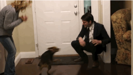 When This Mormon Missionary Came Home After Two Years, His Dog Completely Lost It