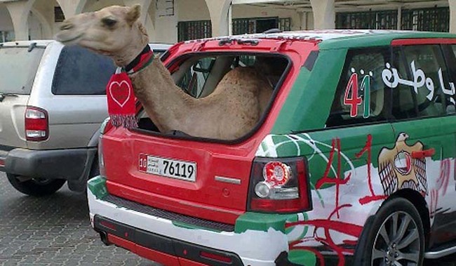 This SUV has enough space for your camel.