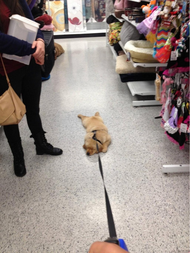 "Shopping is boring and I refuse to participate goodbye."