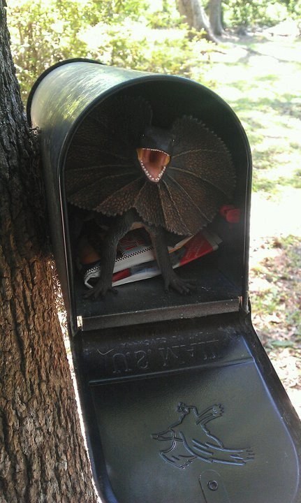 Put a surprise in the mail box.