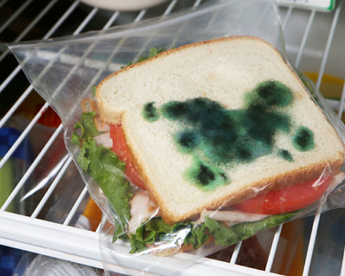 Send your kid to school with a moldy sandwich.