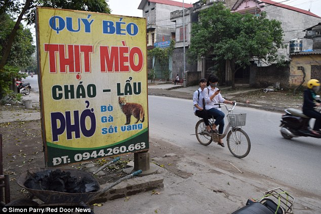Brazen: Despite being banned cat meat is freely advertised at the Quy Beo restaurant in Va Town - an hour's drive from the capital Hanoi 