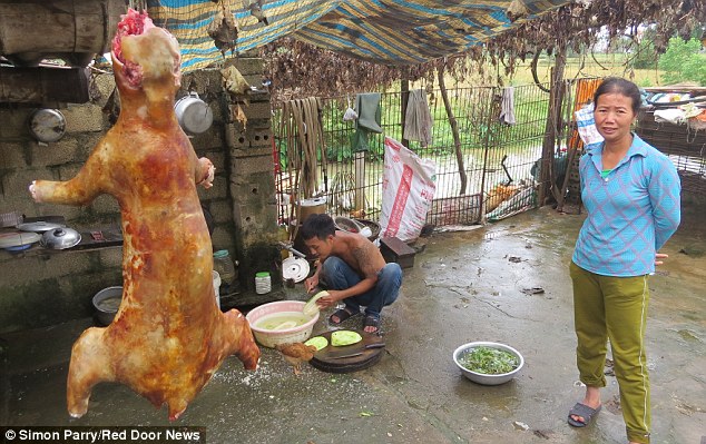 Lucrative: Dog meat traders tells how she's also selling cats and business is booming