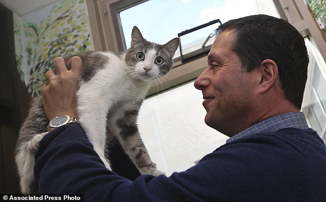 A slow blink from a feline, for example, is like a wink between friends, Weitzman said., seen here with Wesley, a resident of Humane Society shelter Wednesday, April 8, 2015, in San Diego.
