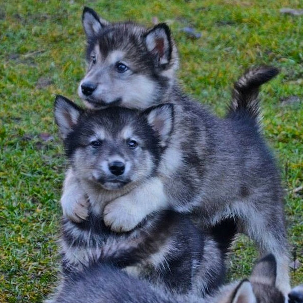 There's always time for a mid-playdate hug.