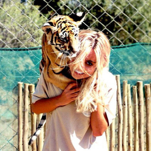 I'd argue that tiger hugs are better than bear hugs.