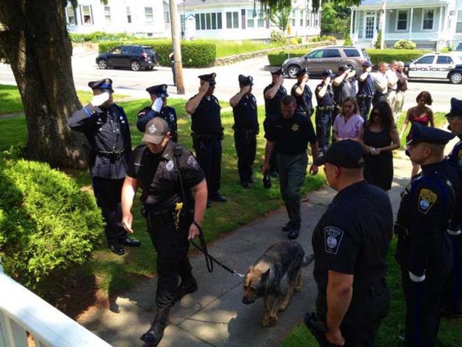 The Plymouth, Massachusetts Police Department saluting their K-9 officer on his way to the vet to be put down.