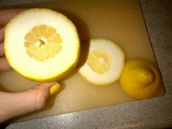 The person who got this lemon:
