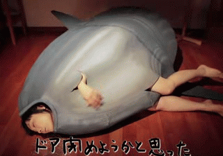 japanese people are one crazy bunch 17 None of this makes any sense (40 Photos)