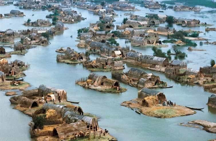 The marshes of Iraq in 1974.