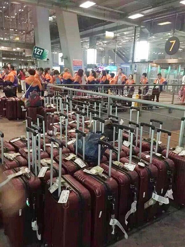 Matching luggage: Staff line up their suitcases for their all-expenses paid trip to Thailand