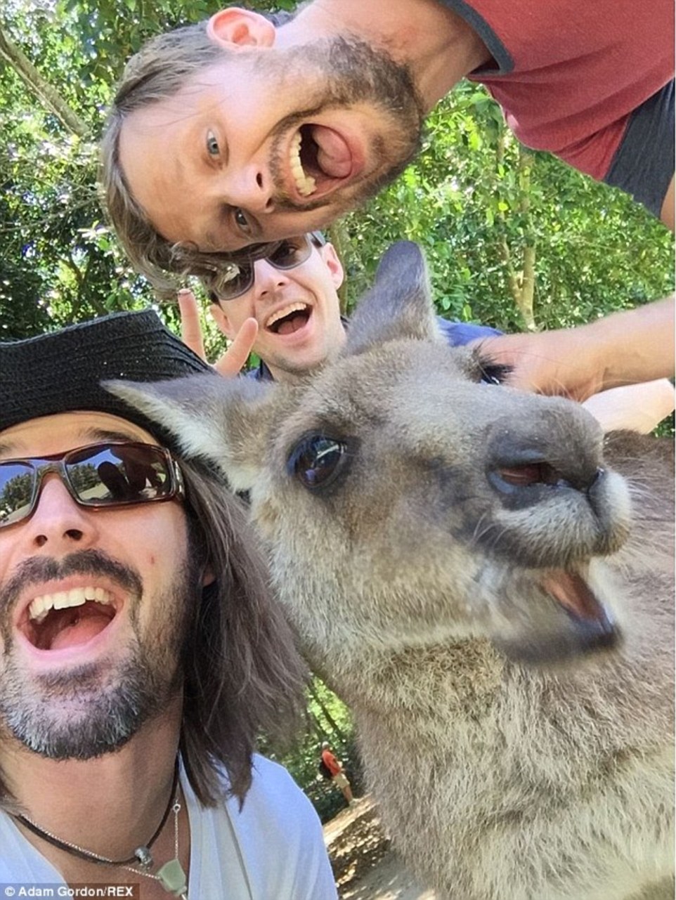 The mob: A kangaroo grins hilariously at the exact moment the photo was taken, resulting in a brilliant photo of the roo and his buddies