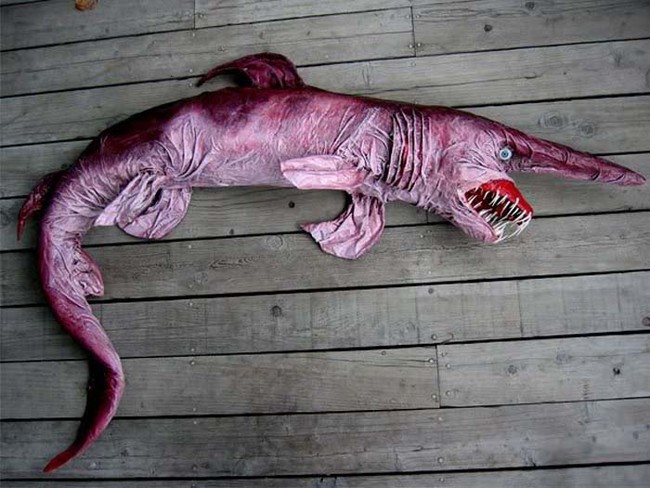 The goblin shark, AKA nightmare of the deep.